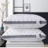 Star-rated hotels, guesthouses, homestays, and household pillows
